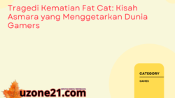 Tragedi Kematian Fat Cat: Kisah Asmara yang Menggetarkan Dunia Gamers