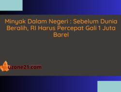 Minyak Dalam Negeri : Sebelum Dunia Beralih, RI Harus Percepat Gali 1 Juta Barel