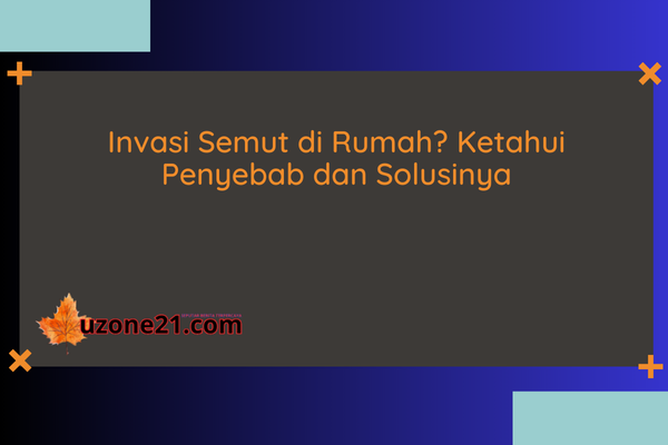 Semut di Rumah