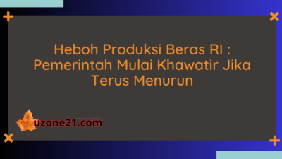 Produksi Beras RI