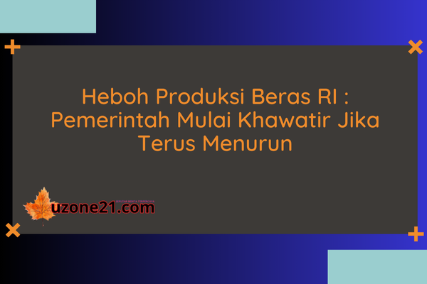 Produksi Beras RI