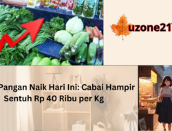 Harga Pangan Naik Hari Ini: Cabai Hampir Sentuh Rp 40 Ribu per Kg