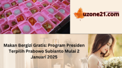 Makan Bergizi Gratis: Program Presiden Terpilih Prabowo Subianto Mulai 2 Januari 2025