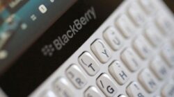Blackberry Bekas