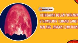 Heboh Keindahan Bulan Purnama Strawberry Terangi Langit Malang, Jangan Lewatkan!