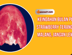 Heboh Keindahan Bulan Purnama Strawberry Terangi Langit Malang, Jangan Lewatkan!