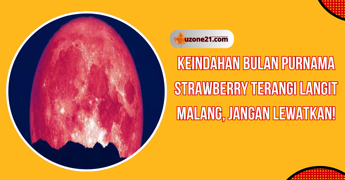Bulan Purnama Strawberry