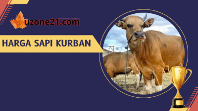 Harga Sapi Kurban 2025 Bikin Kaget! Mulai dari 2 Jutaan, Bisa Patungan 1/7 Ekor