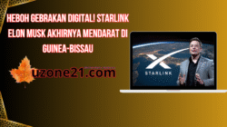 Starlink Elon Musk