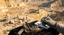 Temuan Fosil Kera 18 Juta Tahun Bisa Jadi Ubah Teori Asal Manusia