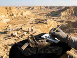 Temuan Fosil Kera 18 Juta Tahun Bisa Jadi Ubah Teori Asal Manusia