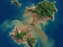 Tsunami Raksasa Terdeteksi Satelit: Potret Detail Ancaman Bawah Laut di Samudra Pasifik